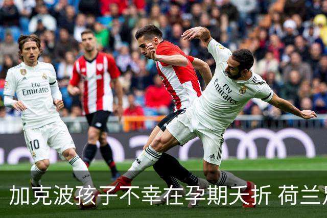 加克波孩子不幸在孕期夭折 荷兰足协：球员愿留队征战
