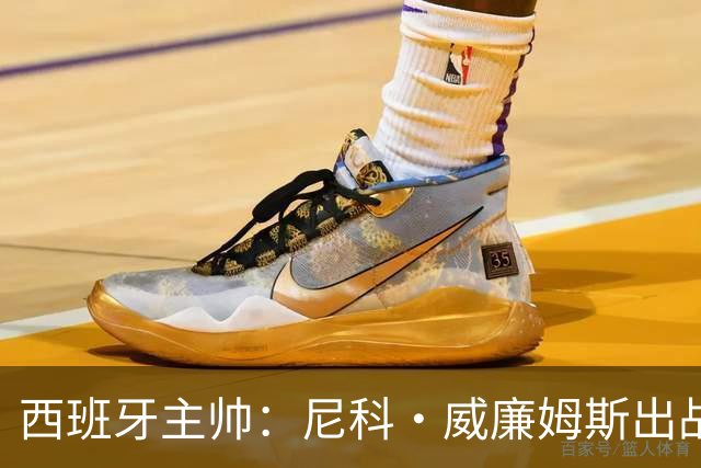 西班牙主帅：尼科·威廉姆斯出战存疑 皮诺或缺席剩余比赛
